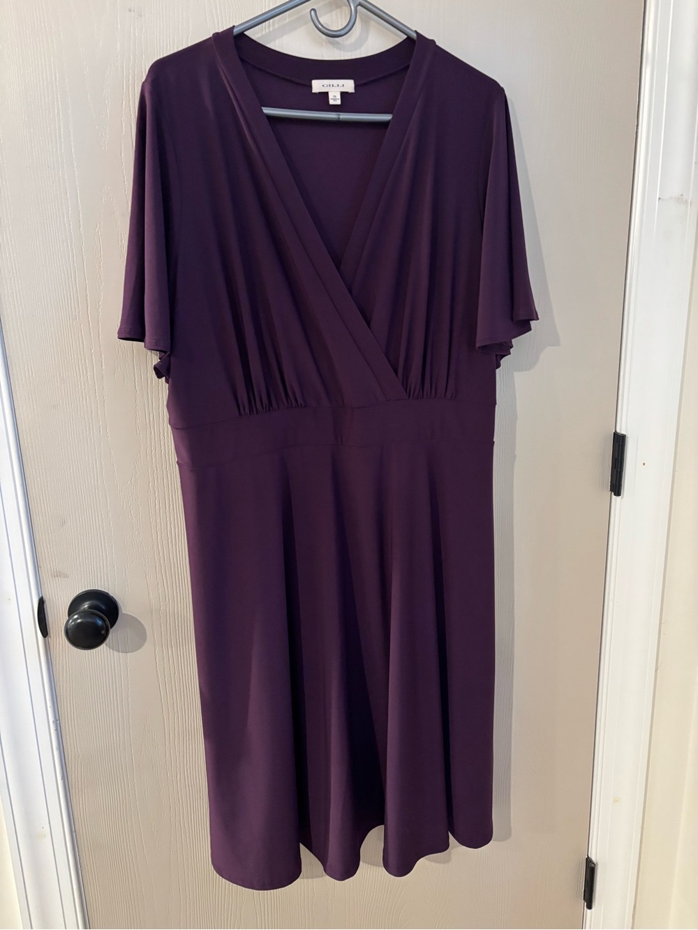 Plum dress 3X